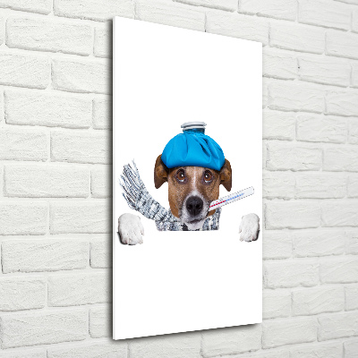 Foto obraz szkło hartowane pionowy Chory pies