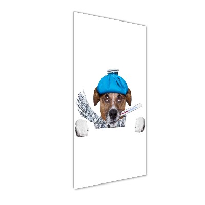 Foto obraz szkło hartowane pionowy Chory pies