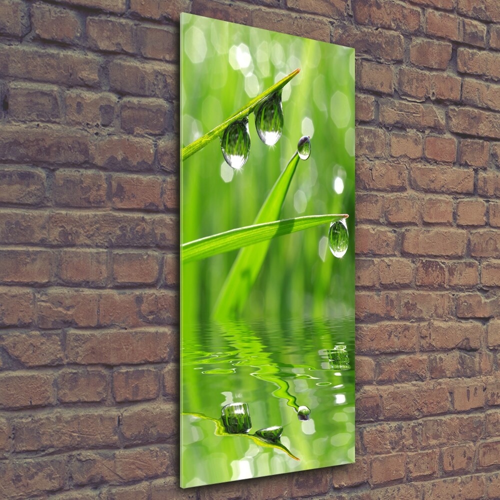 Foto obraz szkło hartowane pionowy Źdźbła trawy