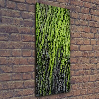 Foto obraz szkło hartowane pionowy Kora drzewa