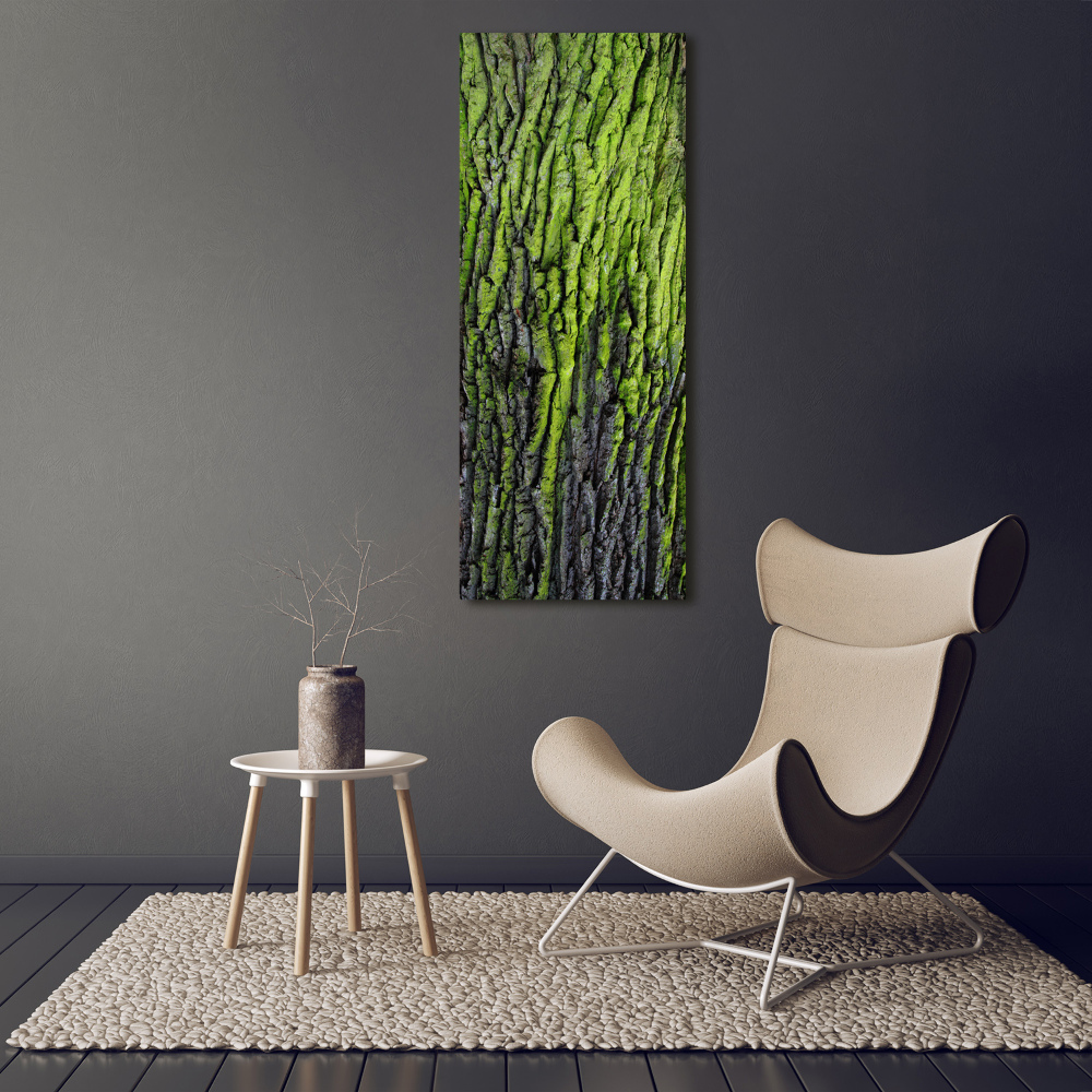 Foto obraz szkło hartowane pionowy Kora drzewa