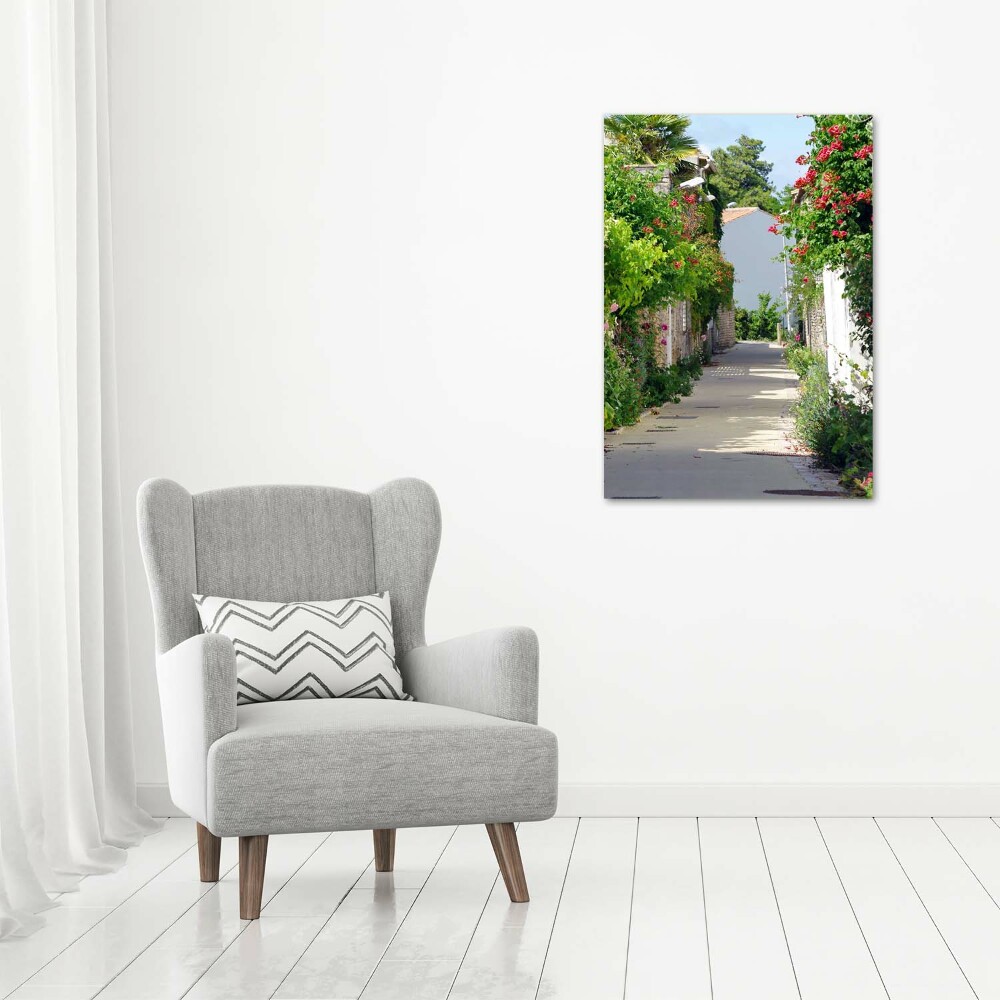 Foto obraz na szkle pionowy Francuskie uliczki