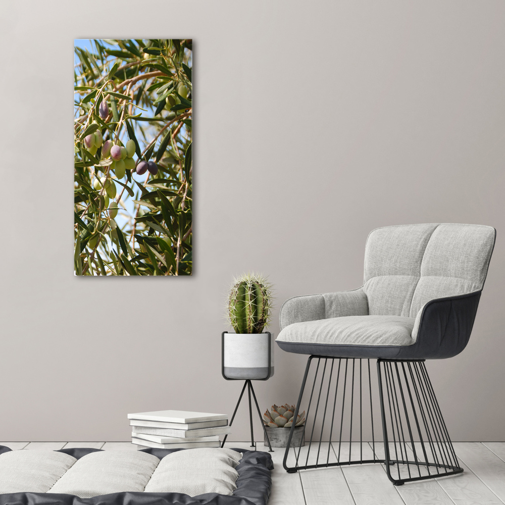 Foto obraz na szkle pionowy Oliwki na drzewie