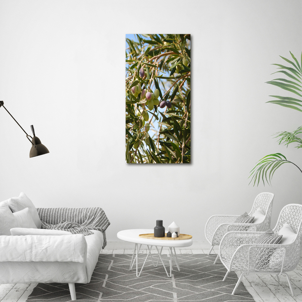 Foto obraz na szkle pionowy Oliwki na drzewie