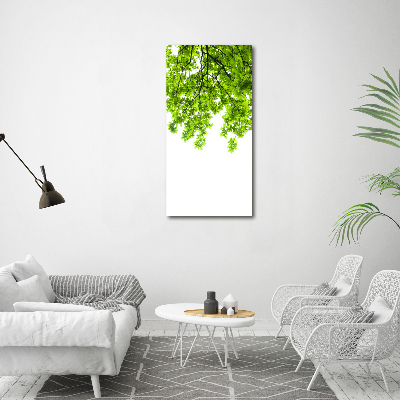 Foto obraz szkło hartowane pionowy Korona drzew