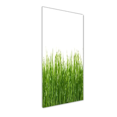 Foto obraz szkło hartowane pionowy Zielona trawa