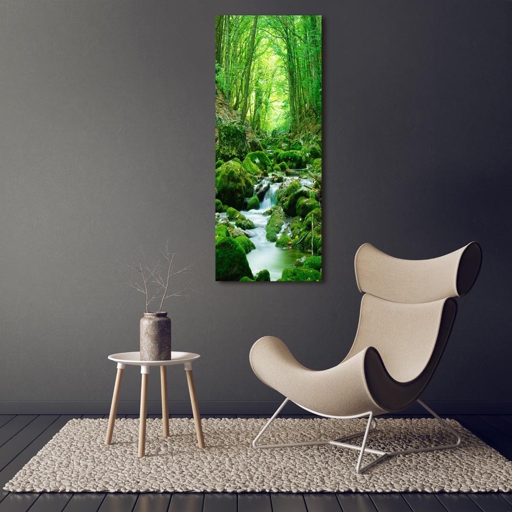 Foto obraz na szkle pionowy Potok w dżungli