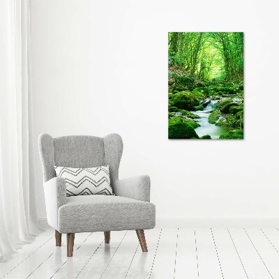 Foto obraz na szkle pionowy Potok w dżungli