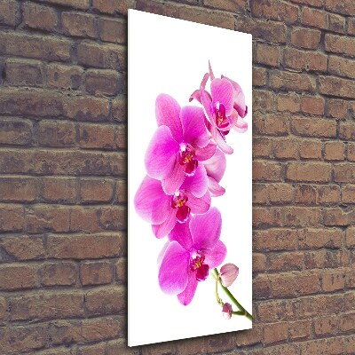 Foto obraz na szkle pionowy Różowa orchidea