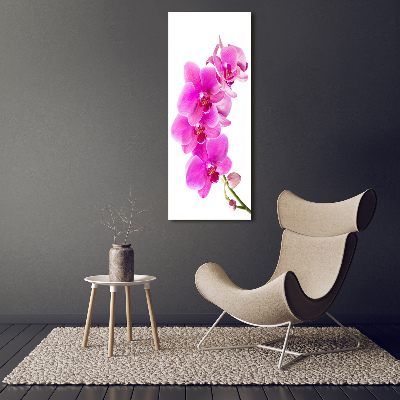 Foto obraz na szkle pionowy Różowa orchidea