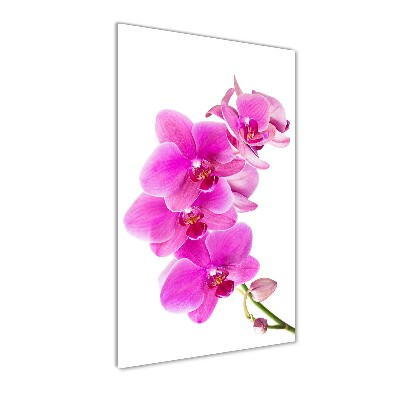 Foto obraz na szkle pionowy Różowa orchidea