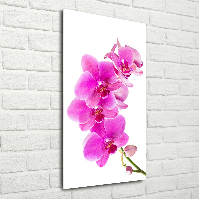 Foto obraz na szkle pionowy Różowa orchidea