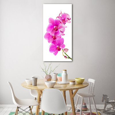 Foto obraz na szkle pionowy Różowa orchidea
