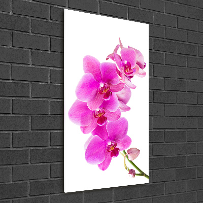Foto obraz na szkle pionowy Różowa orchidea