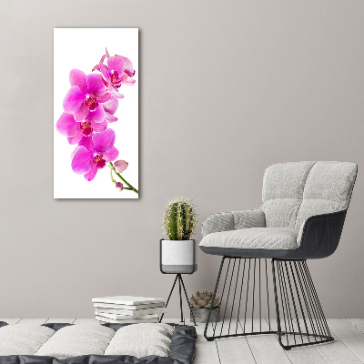 Foto obraz na szkle pionowy Różowa orchidea
