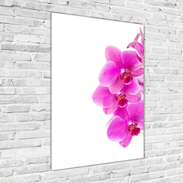 Foto obraz na szkle pionowy Różowa orchidea