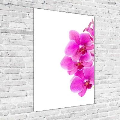 Foto obraz na szkle pionowy Różowa orchidea