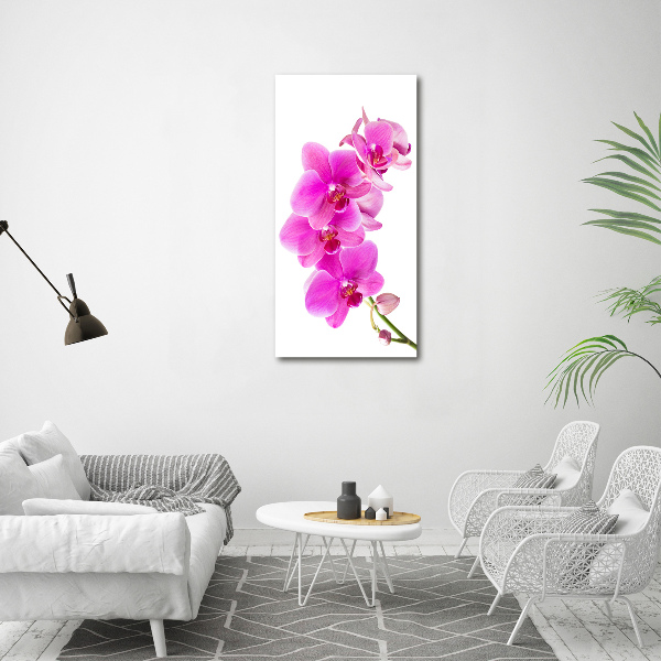 Foto obraz na szkle pionowy Różowa orchidea