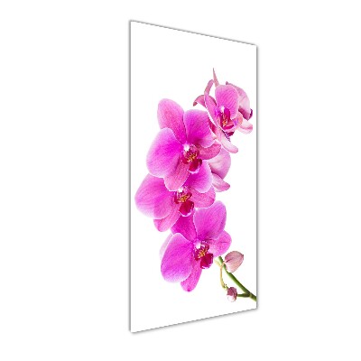 Foto obraz na szkle pionowy Różowa orchidea