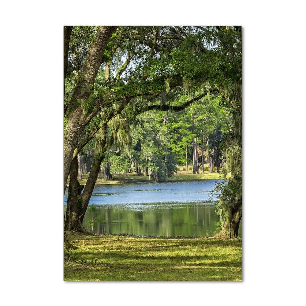 Foto obraz na szkle pionowy Jezioro w parku