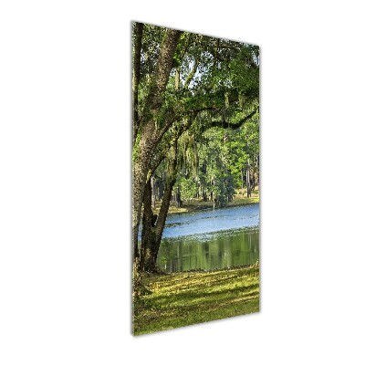 Foto obraz na szkle pionowy Jezioro w parku