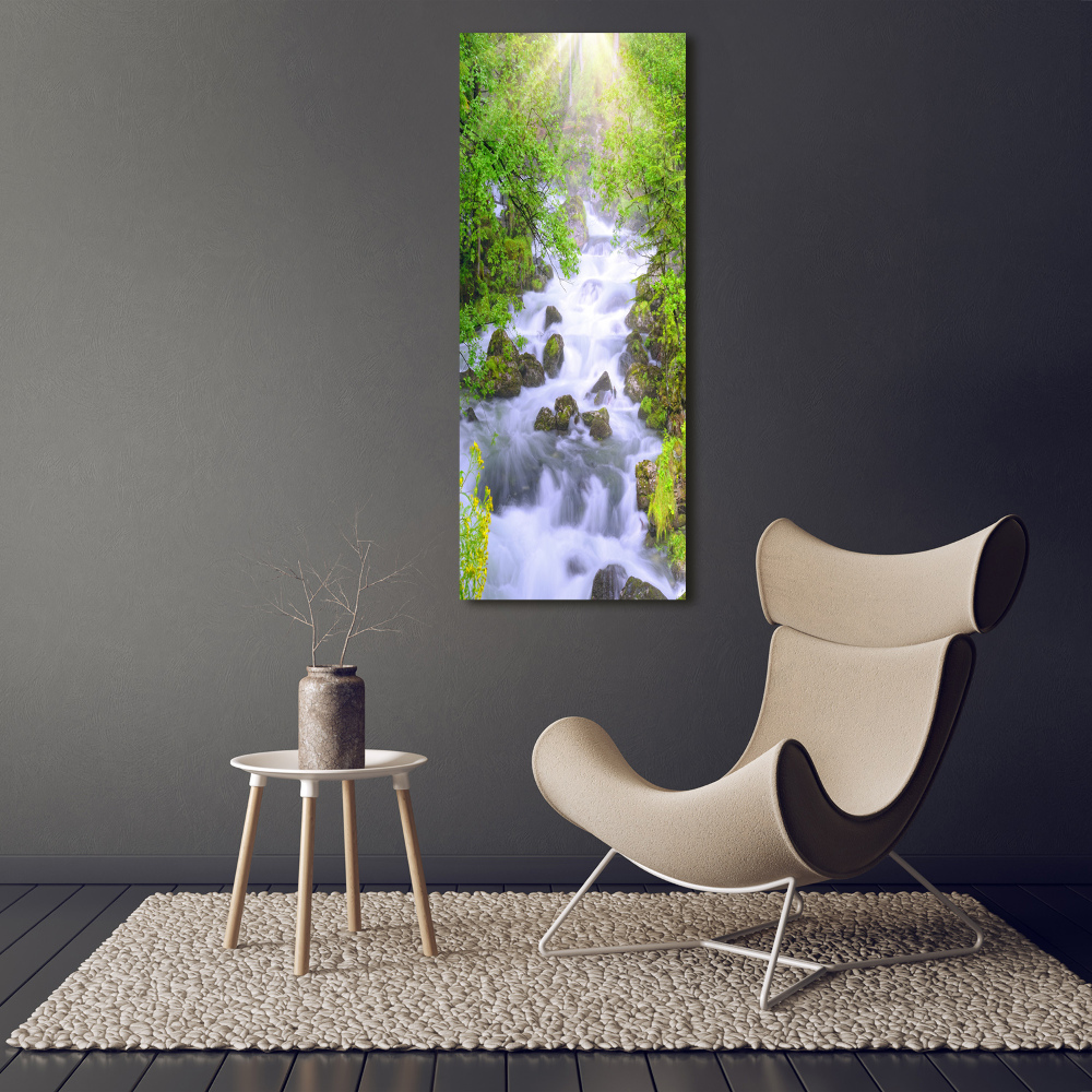 Foto obraz szkło hartowane pionowy Górski potok