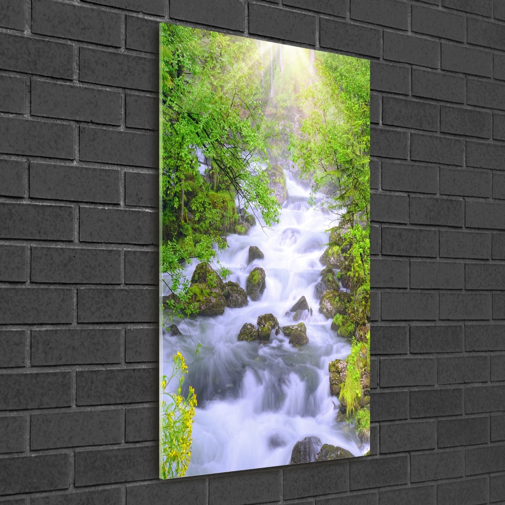 Foto obraz szkło hartowane pionowy Górski potok