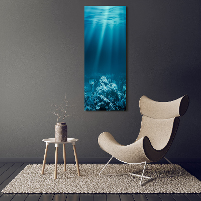 Foto obraz zdjęcie na szkle pionowy Podwodny świat