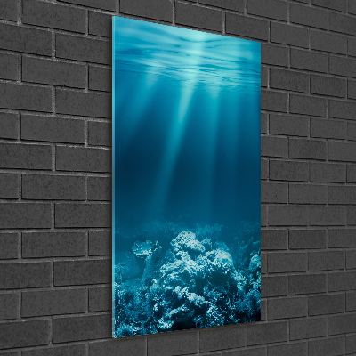 Foto obraz zdjęcie na szkle pionowy Podwodny świat