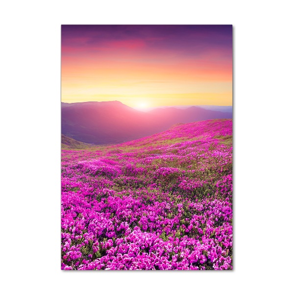 Foto obraz szklany pionowy Góry rododendron