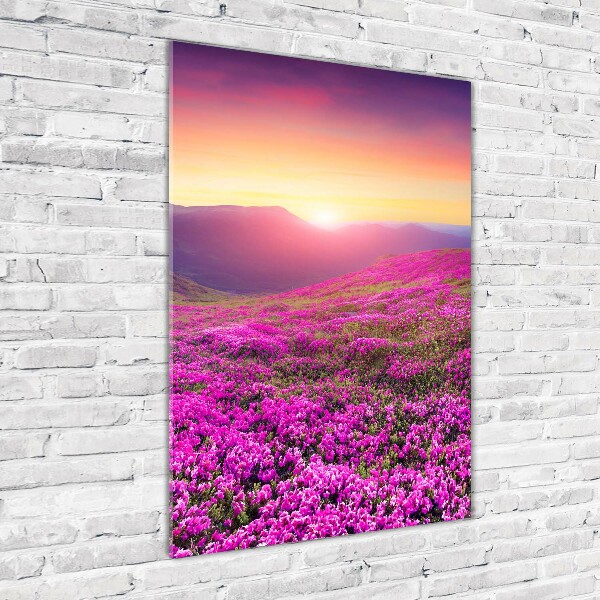 Foto obraz szklany pionowy Góry rododendron