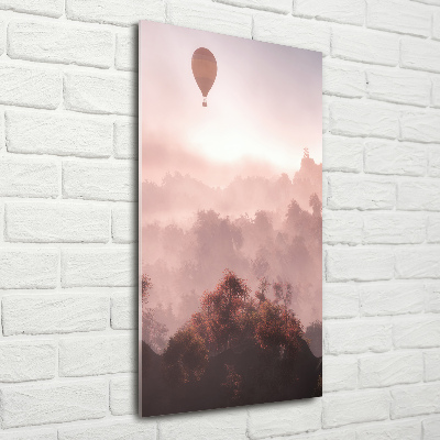 Foto obraz na szkle pionowy Latający balon las
