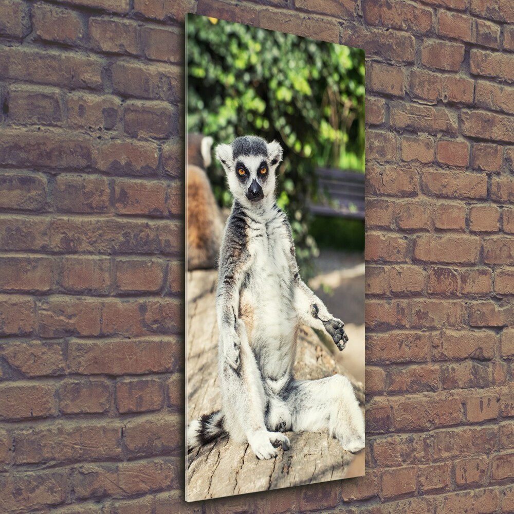 Fotoobraz szklany na ścianę do salonu pionowy Lemur