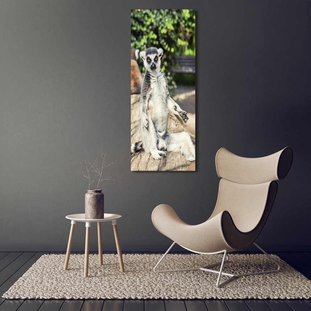 Fotoobraz szklany na ścianę do salonu pionowy Lemur