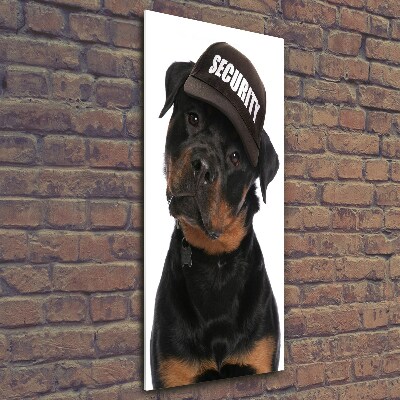 Foto obraz na szkle pionowy Rottweiler w czapce