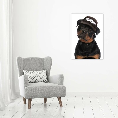 Foto obraz na szkle pionowy Rottweiler w czapce