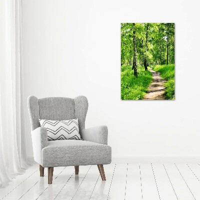 Foto obraz szkło hartowane pionowy Las brzozowy