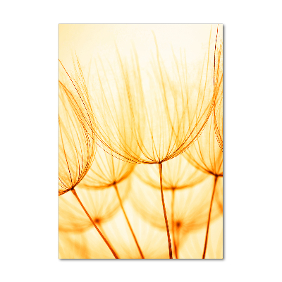 Foto obraz na szkle pionowy Nasiona dmuchawca