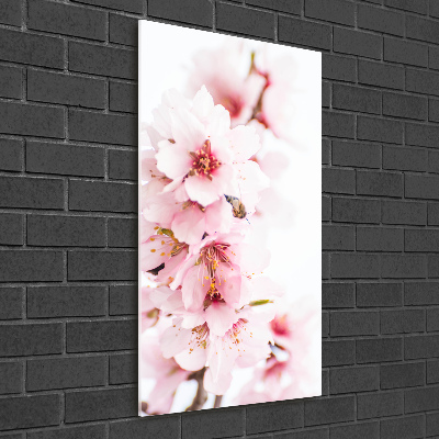 Foto obraz na szkle pionowy Kwiaty migdałowca