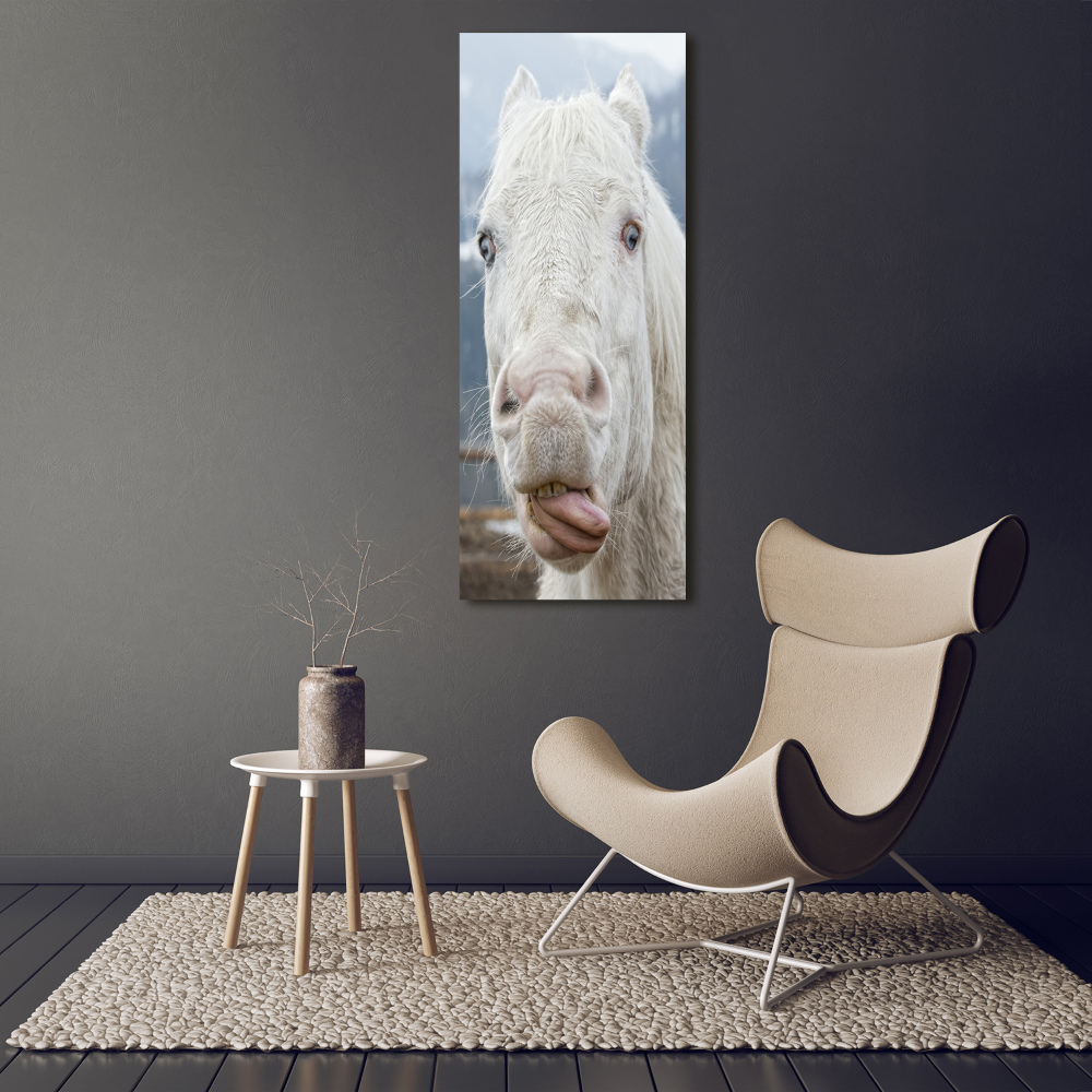Foto obraz na szkle pionowy Szalony biały koń