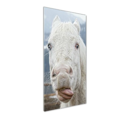 Foto obraz na szkle pionowy Szalony biały koń