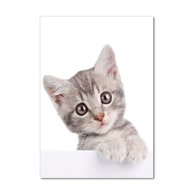 Foto obraz szkło hartowane pionowy Szary kot