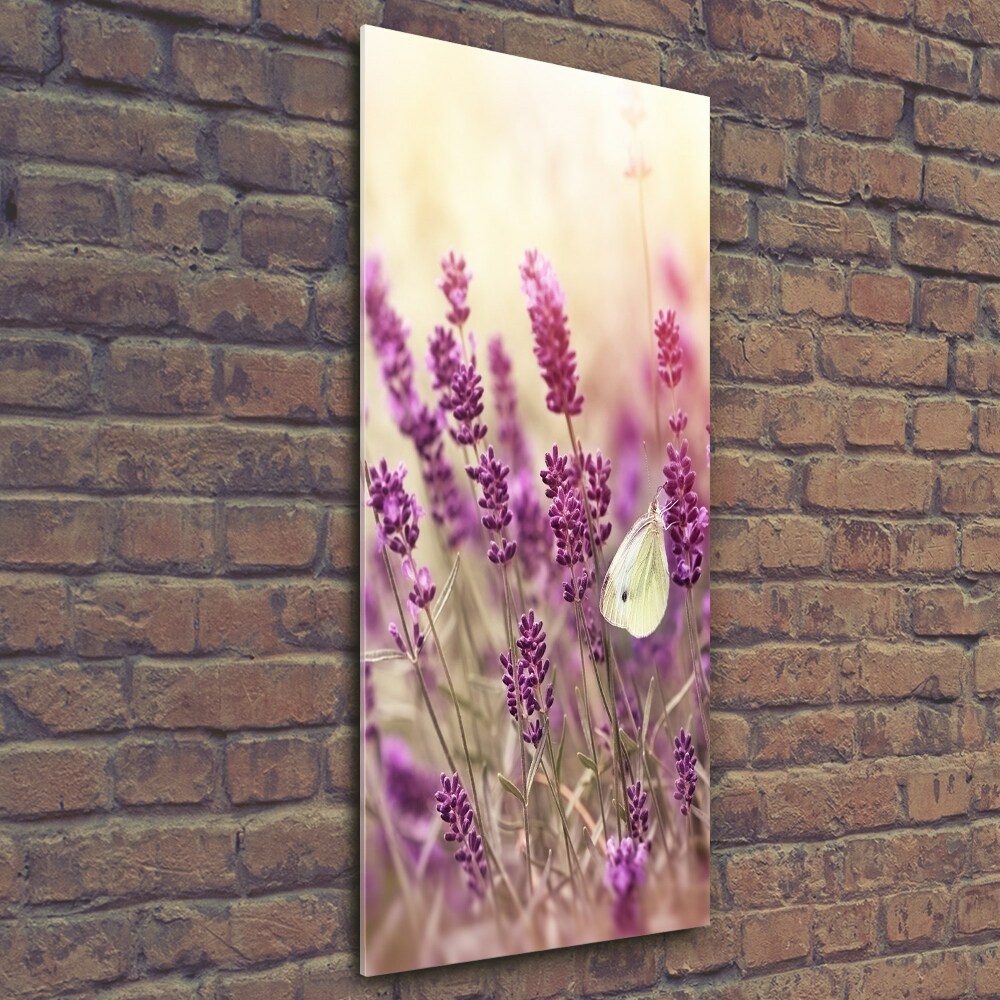Foto obraz zdjęcie na szkle pionowy Kwiaty lawendy