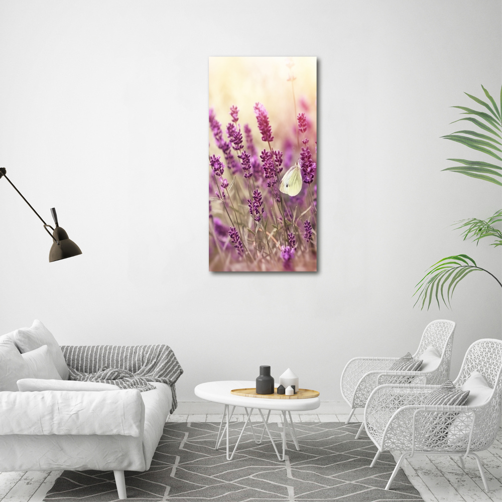 Foto obraz zdjęcie na szkle pionowy Kwiaty lawendy