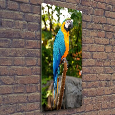 Foto obraz szkło hartowane pionowy Papuga Ara