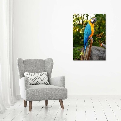 Foto obraz szkło hartowane pionowy Papuga Ara