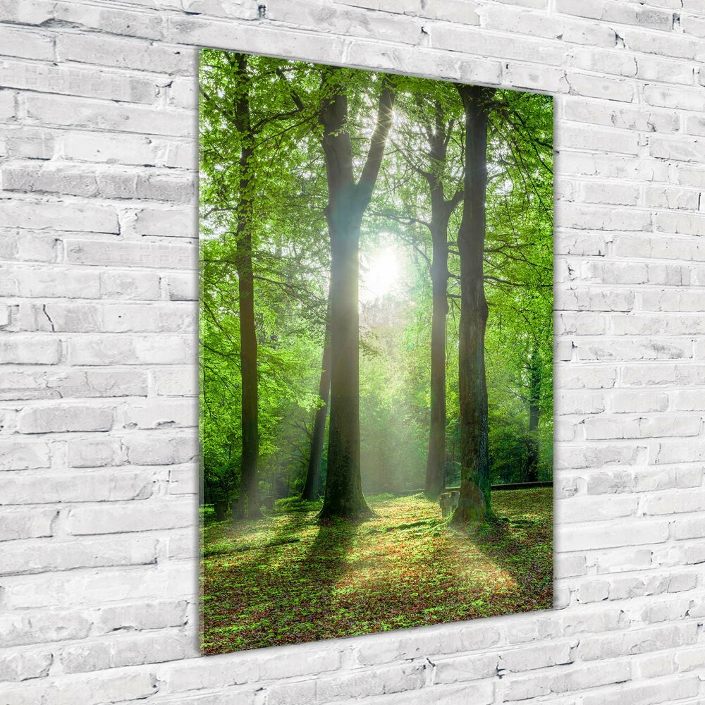 Foto obraz zdjęcie na szkle pionowy Słońce w lesie