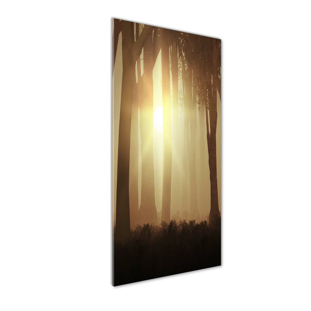 Foto obraz szkło hartowane pionowy Mgłą w lesie