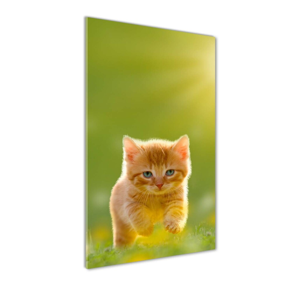 Foto-obraz szkło hartowane pionowy Rudy kot