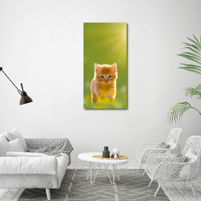Foto-obraz szkło hartowane pionowy Rudy kot